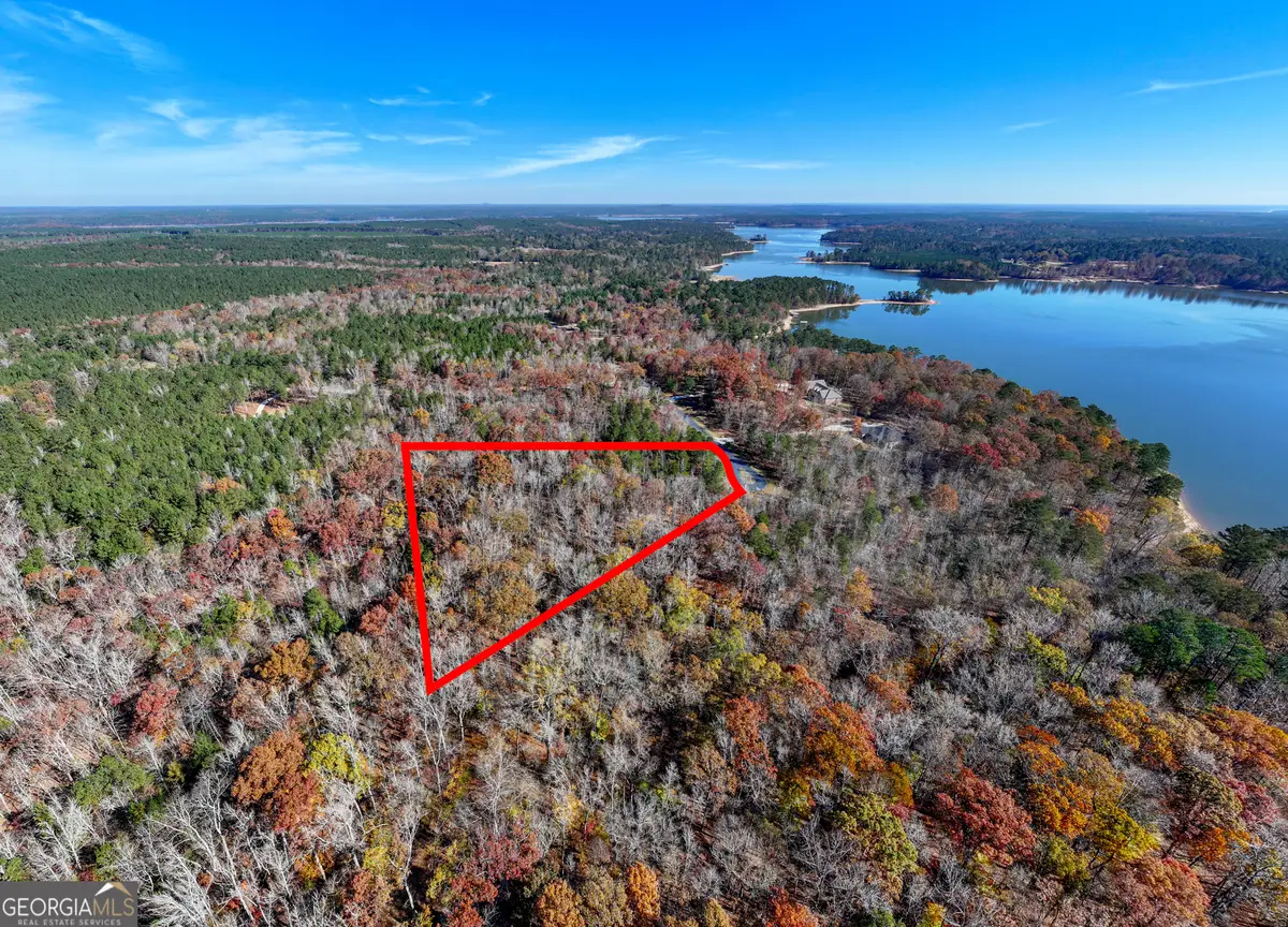 2.19 ACRES Ridgeville Court, Tignall, GA 30668 - Image #1