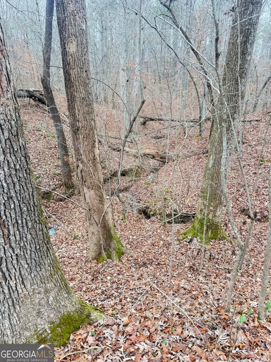 0 Pine Grove Road, Tallapoosa, GA 30176 - Image #3