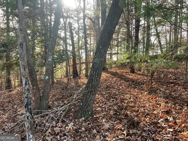 71 Dryad Court, Ellijay, GA 30540