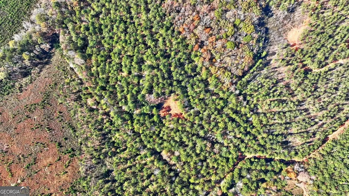 0 Cold Springs Road, Pine Mountain, GA 31822 - Image #1