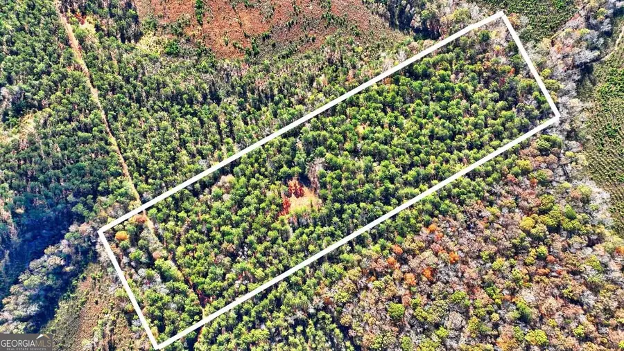 0 Cold Springs Road, Pine Mountain, GA 31822 - Image #2