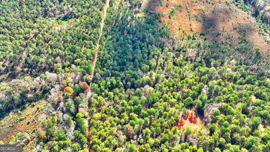 0 Cold Springs Road, Pine Mountain, GA 31822 - Image #3