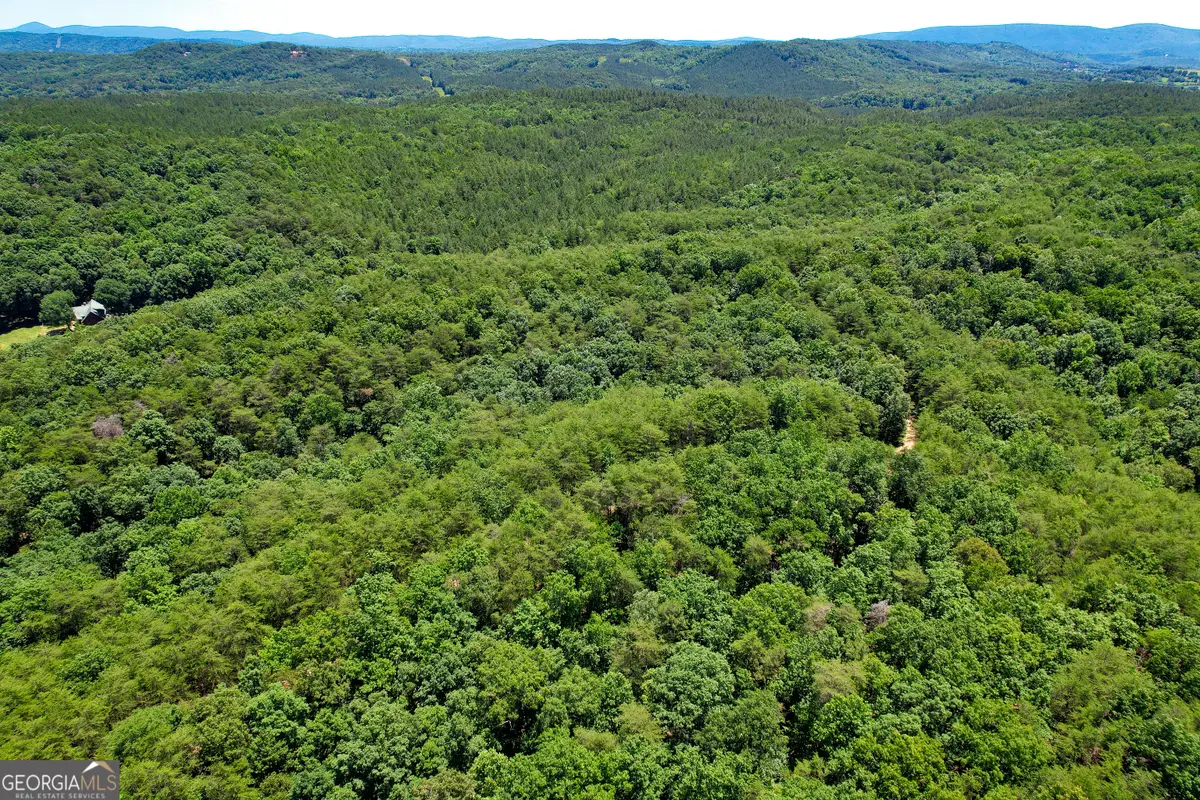 111 +/- Acres Off Slate Mine Road, Fairmount, GA 30139 - Image #1