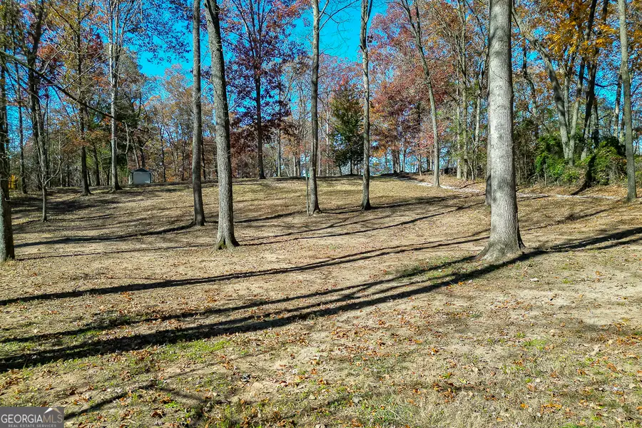 131 Canix Lane, Hoschton, GA 30548 - #3