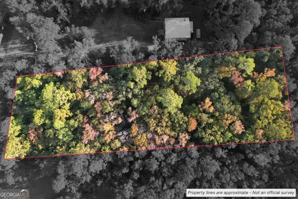 VL/45 PINE DRIV Pine Drive, Woodbine, GA 31569