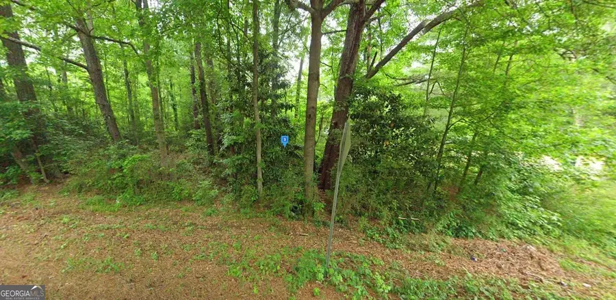 335 Wallace Gray Road, Newnan, GA 30263 - Image #2