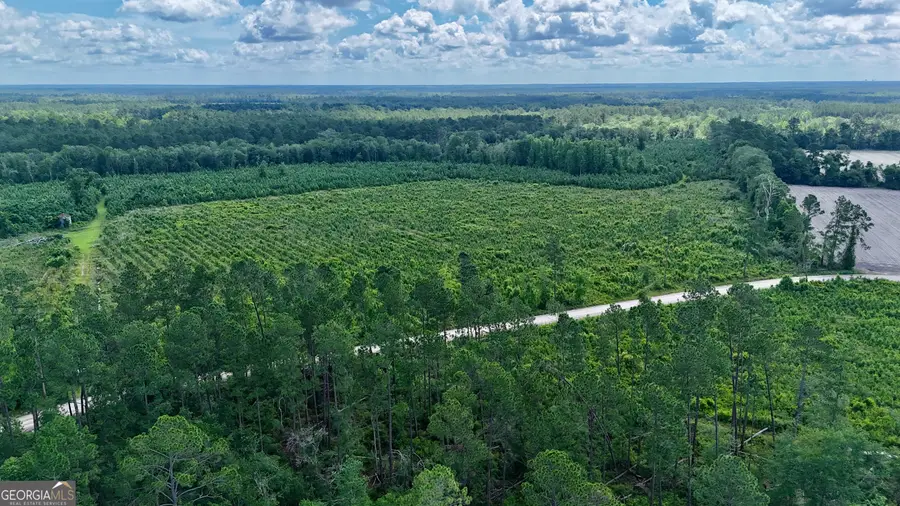 TRACT 4 Bennett Mill Pond Road, Odum, GA 31555 - Image #3