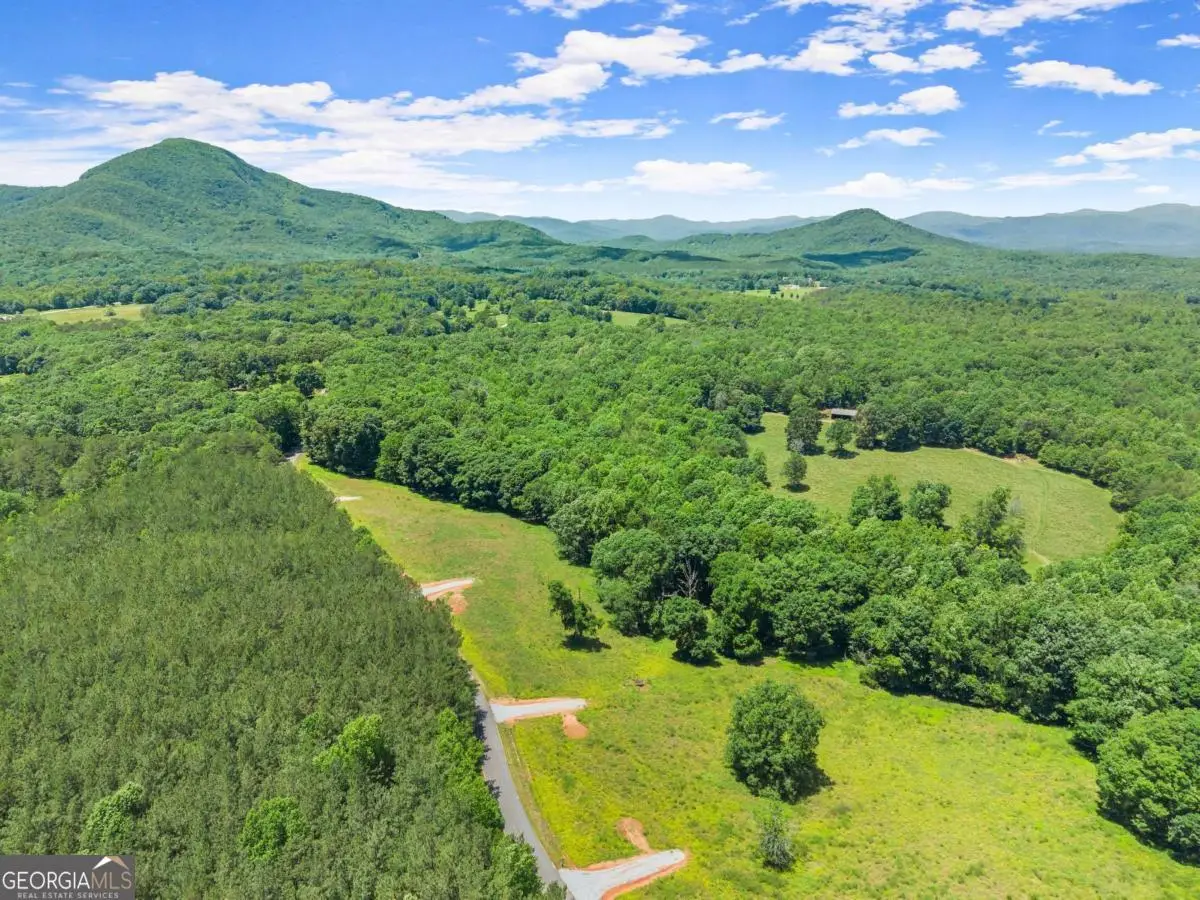 0 Arthur Allen Road, Cleveland, GA 30528 - Image #1