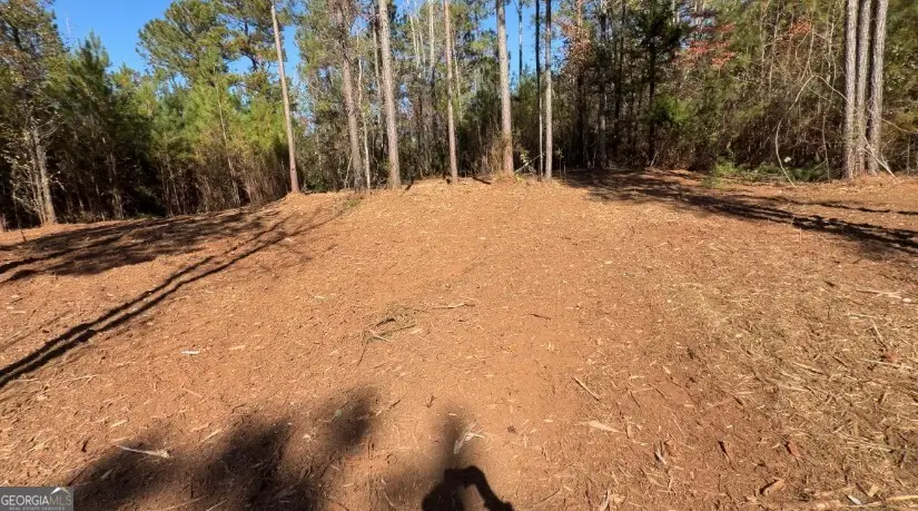 TRACT B Russellville Road, Forsyth, GA 31029 - Image #2