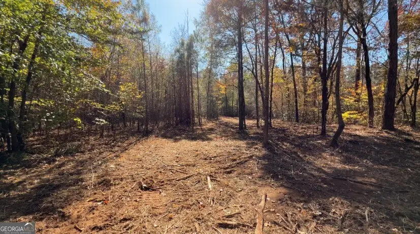 TRACT A Russellville Road, Forsyth, GA 31029 - Image #1