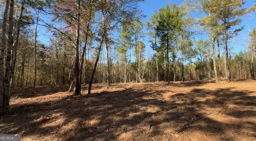 TRACT A Russellville Road, Forsyth, GA 31029 - Image #2