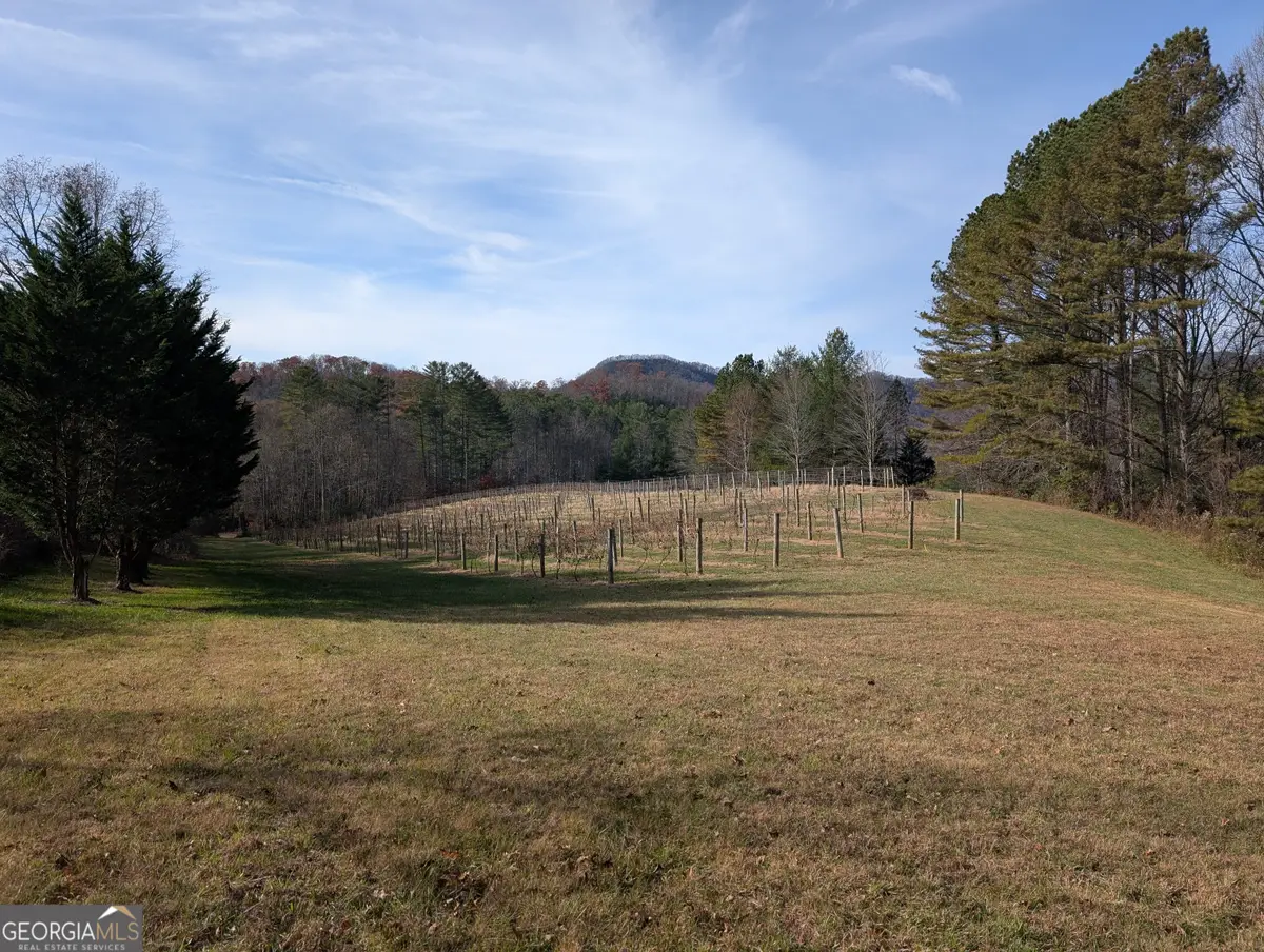 LT 2 Mr Bert Road #2, Hiawassee, GA 30546 - Image #1