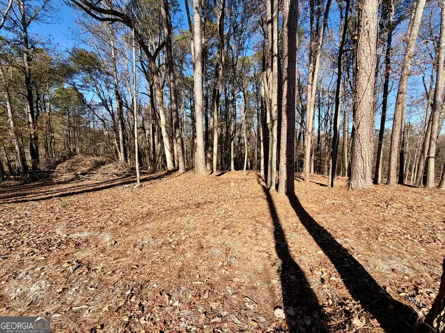 8121 Heardsville Circle, Cumming, GA 30028 - Image #2