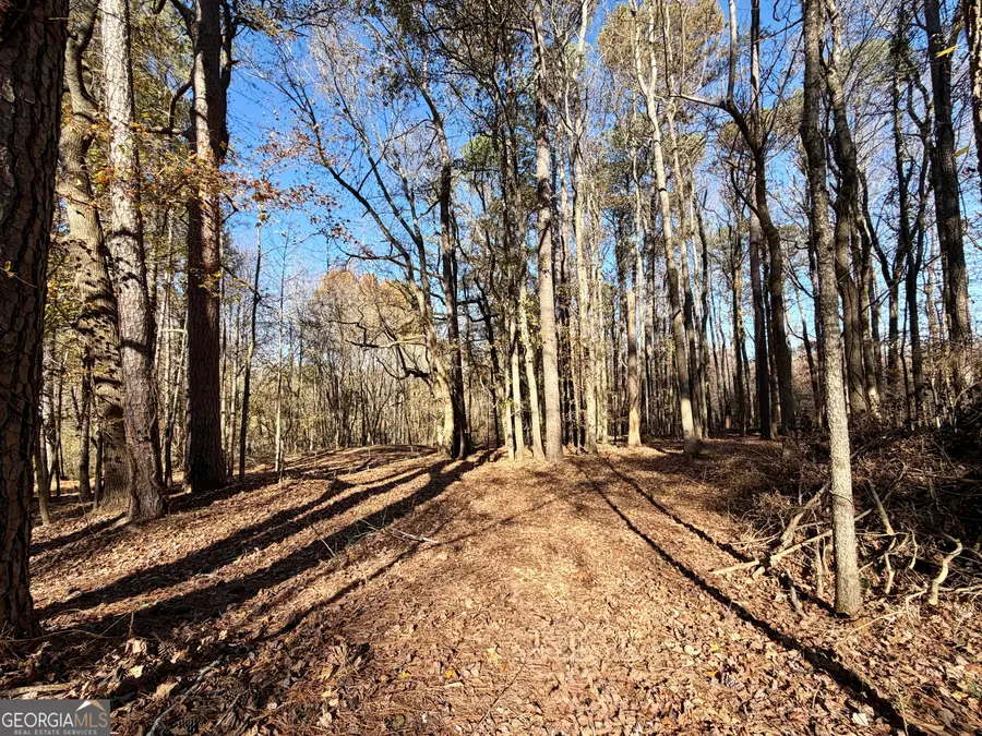 8121 Heardsville Circle, Cumming, GA 30028 - Image #3