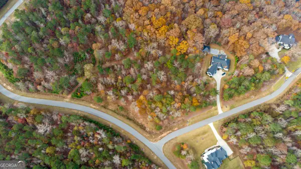 0 Alston Point #LOT 410/411, Newnan, GA 30263