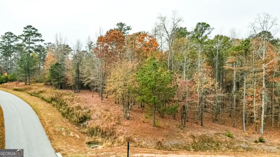 0 Alston Point #LOT 410/411, Newnan, GA 30263 - Image #3