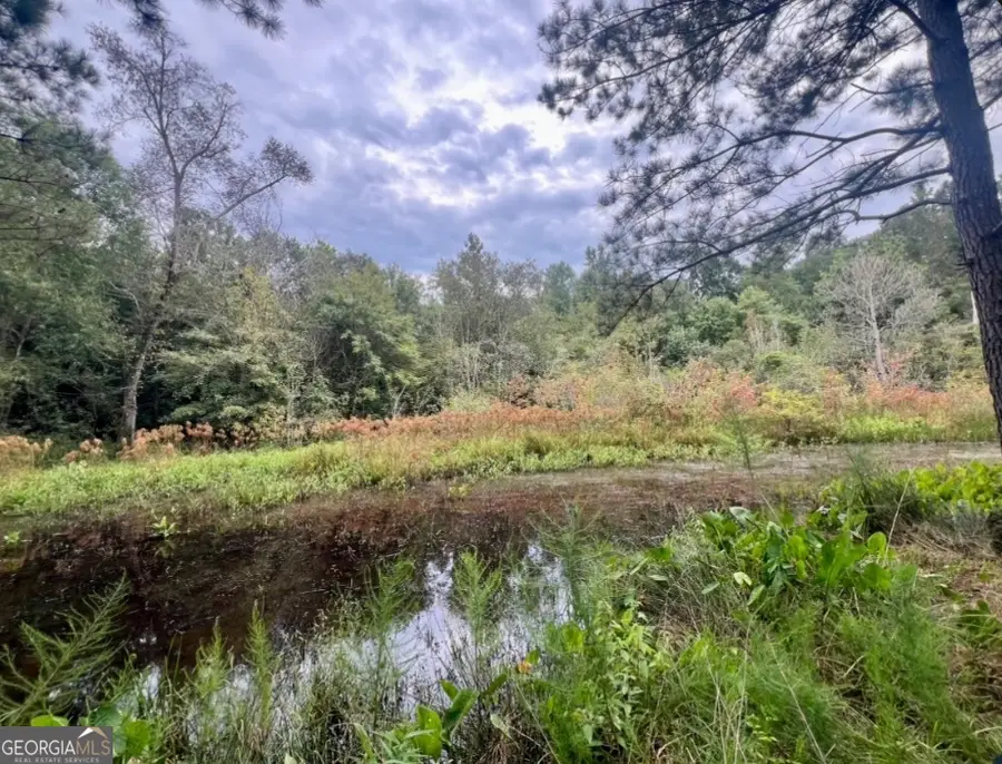 0 Mccarty Dodd Rd., Colbert, GA 30628 - Image #2