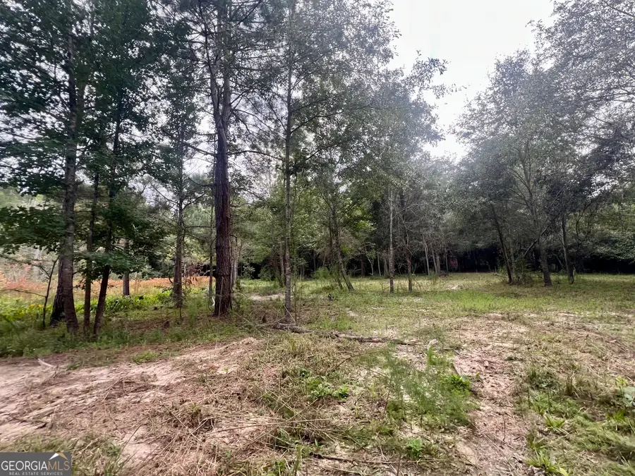 0 Mccarty Dodd Rd., Colbert, GA 30628 - Image #3