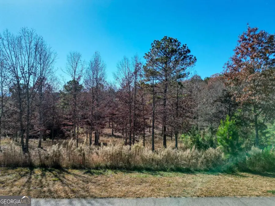 LT 52-53 Village Loop, Blairsville, GA 30512 - Image #3