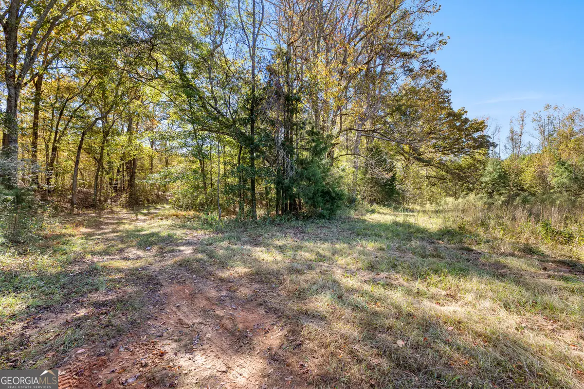 0 Bankston Rd., Meansville, GA 30256 - Image #1