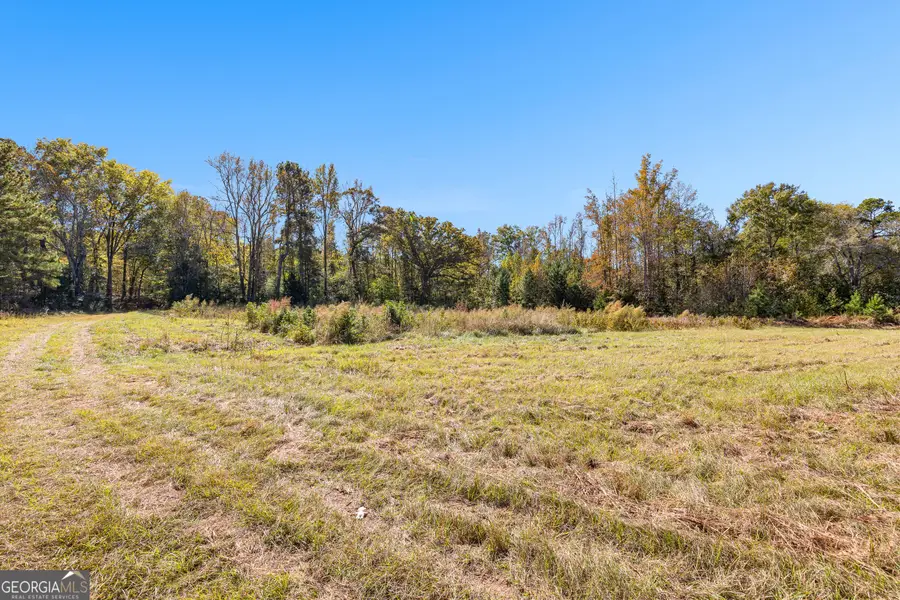 0 Bankston Rd., Meansville, GA 30256 - Image #2