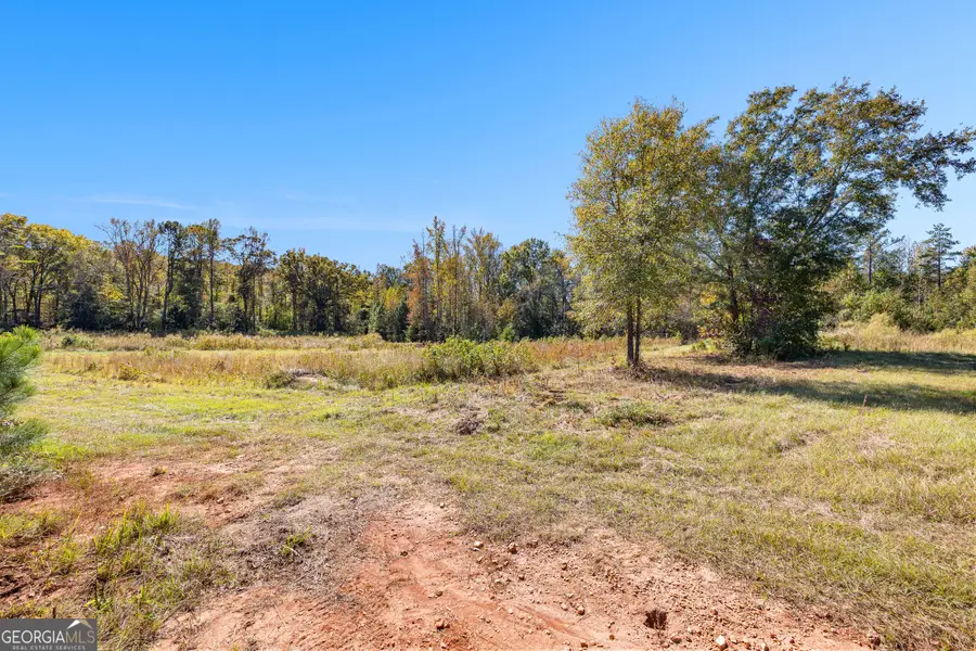0 Bankston Rd., Meansville, GA 30256 - Image #3