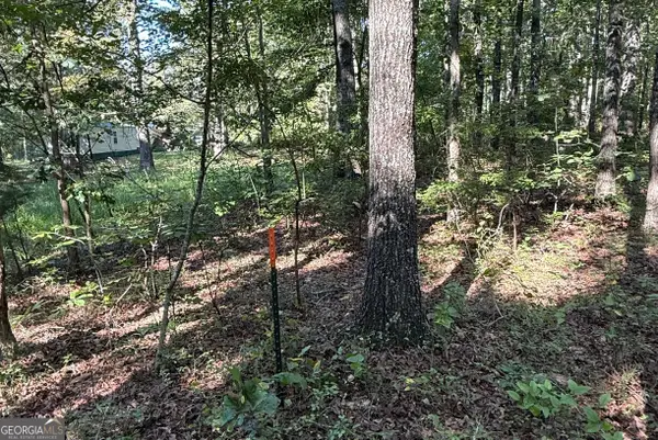 0 Turkey Court #LOT 42 & 46, Waco, GA 30183