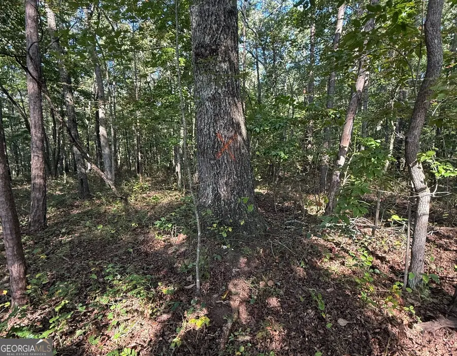 0 Turkey Court #LOT 42 & 46, Waco, GA 30183 - Image #3