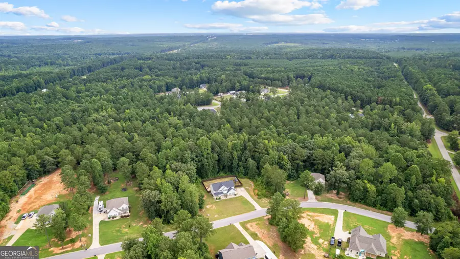 120 Delta Downs Court, Hogansville, GA 30230 - Image #2