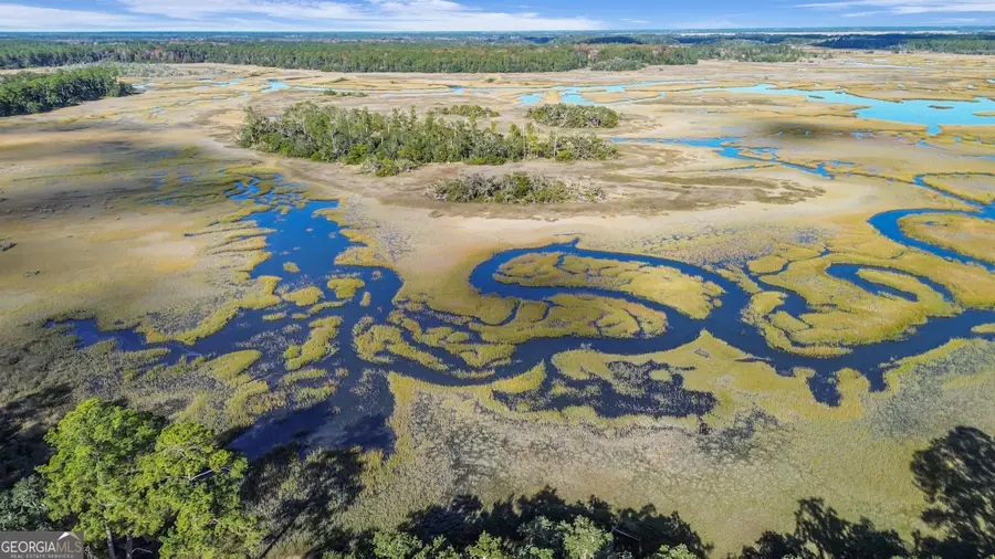 1261 Otter Slide Loop Ne, Townsend, GA 31331 - Image #2