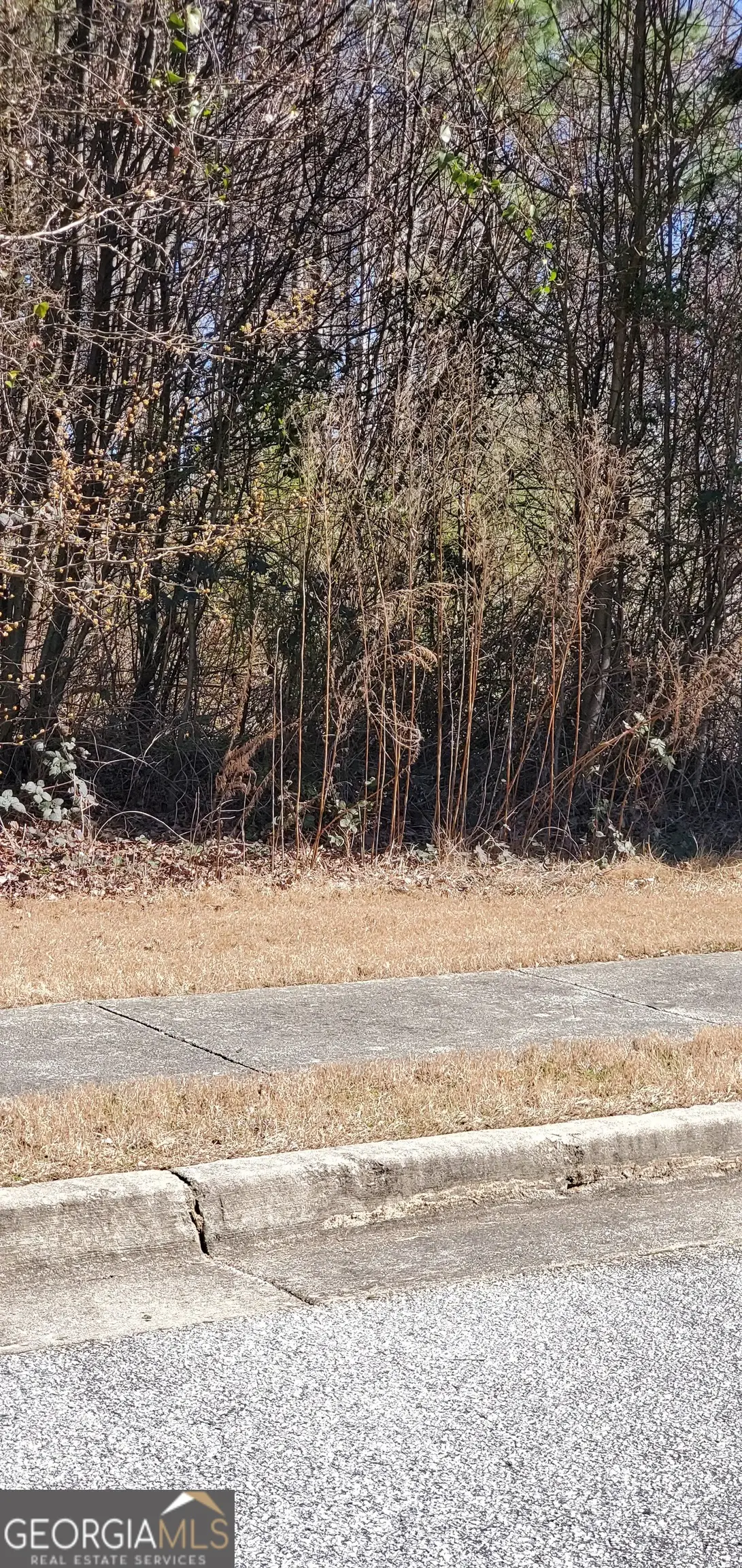 3447 Tiffany Cove Drive, Loganville, GA 30052 - Image #1