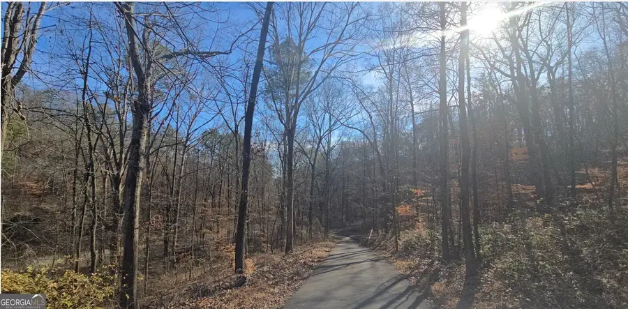 124 Puckett Road Se, Emerson, GA 30137 - Image #3