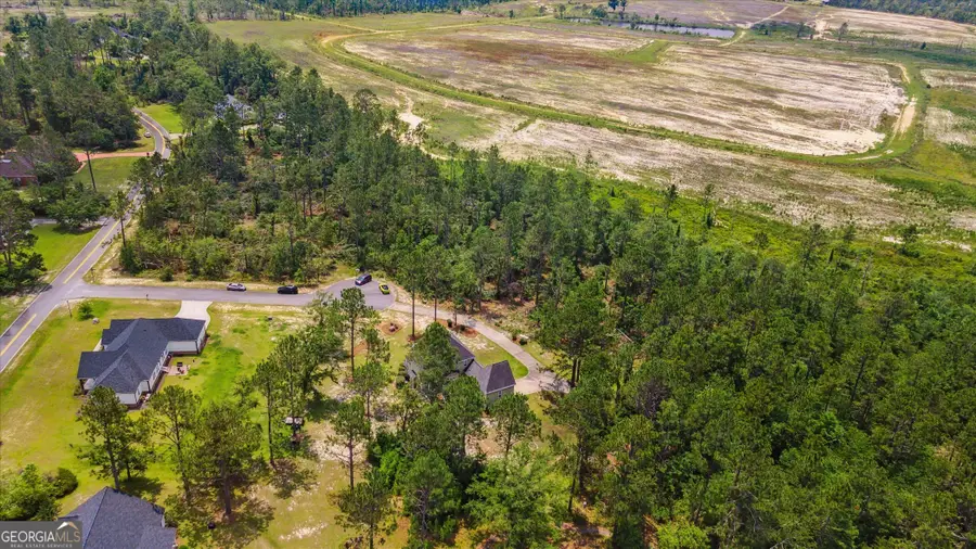 LOT 61 AND TRAC Lakewood Dr, Vidalia, GA 30474 - Image #2