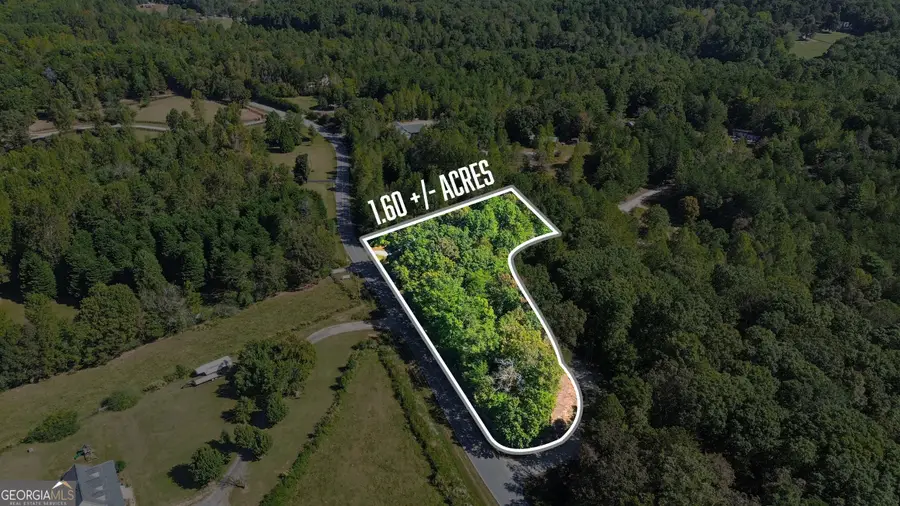 1000 Preacher Campbell Road, Clarkesville, GA 30523 - Image #2