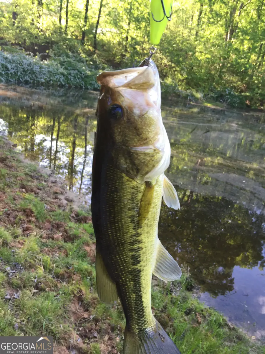 508 Millertown Road, Temple, GA 30179 - Image #3