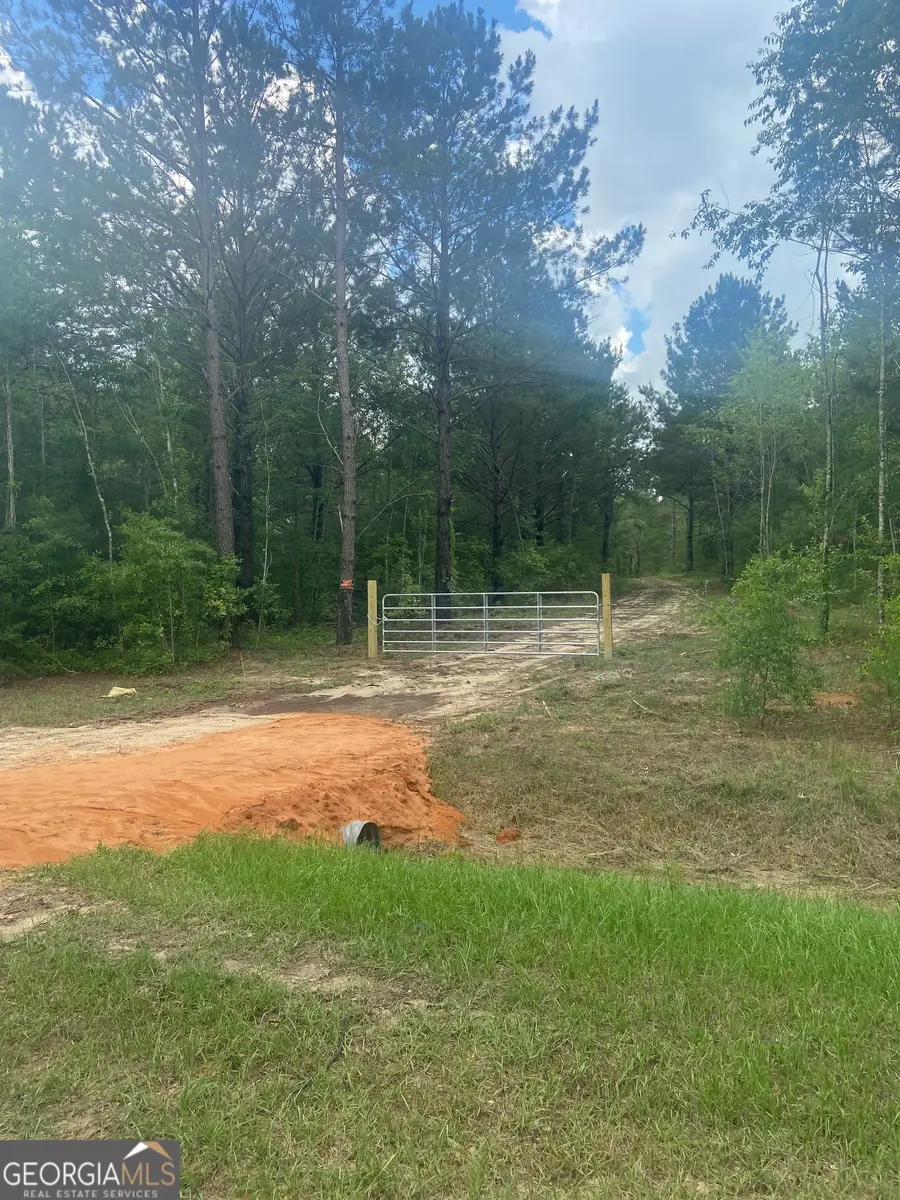 0 Mamie Graham Road, East Dublin, GA 31027 - Image #3