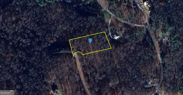 6610 Morgan Ridge Drive, Young Harris, GA 30582