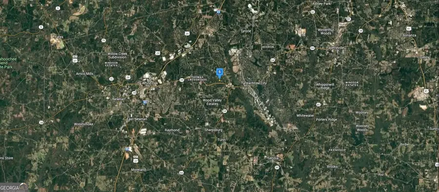 430 Mapledale Trail, Sharpsburg, GA 30277 - Image #3