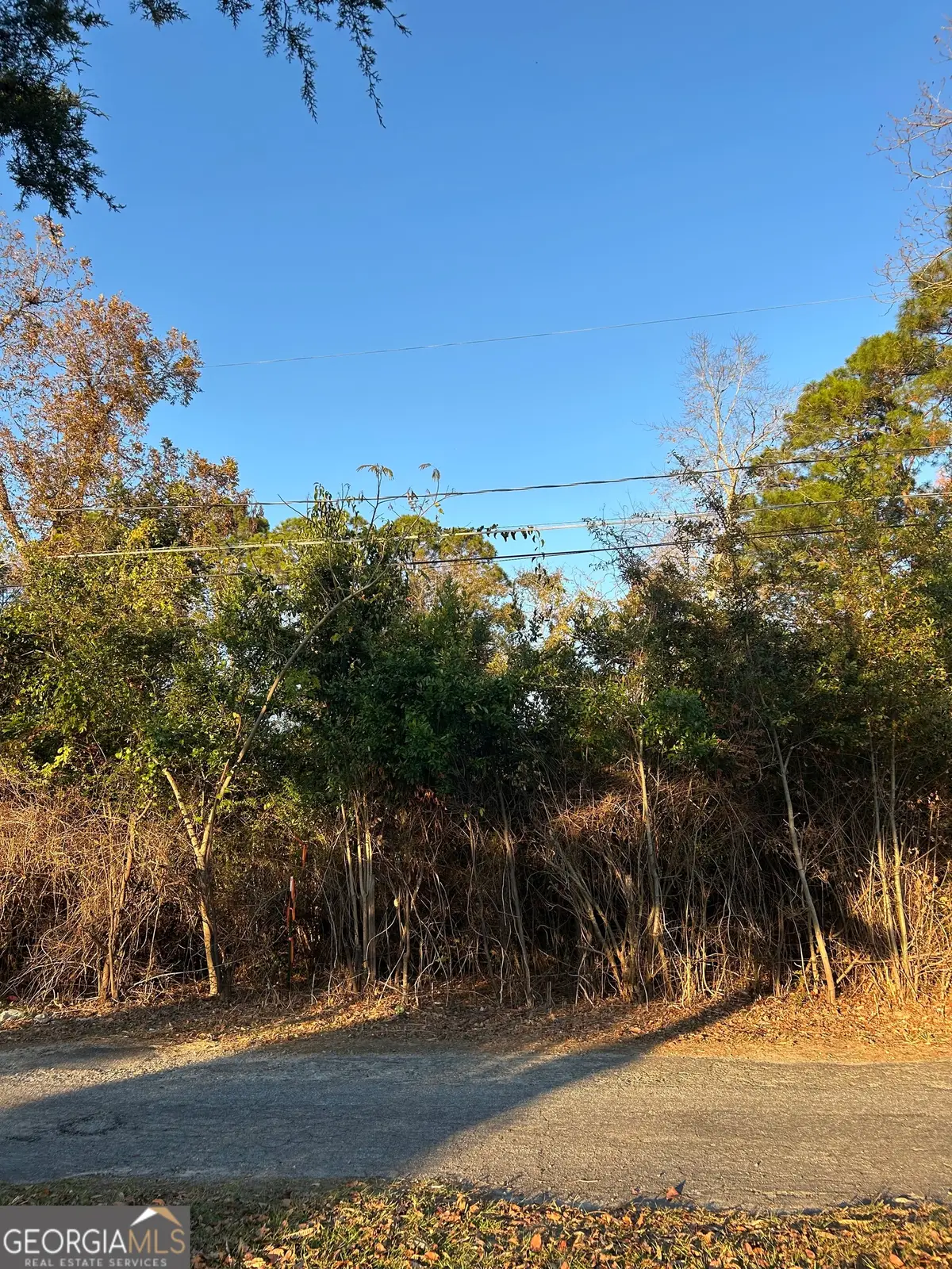 0 Bonaire Street, McRae, GA 31055 - Image #1