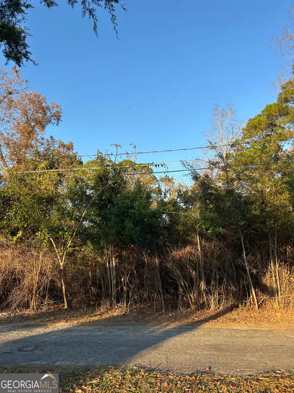 0 Bonaire Street, McRae, GA 31055