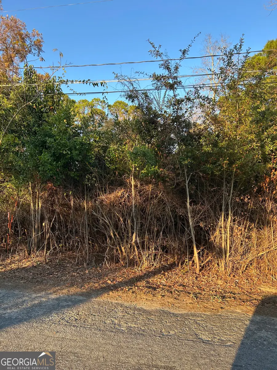 0 Bonaire Street, McRae, GA 31055 - Image #3