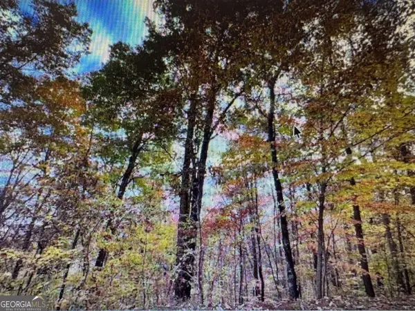 6 Morgan Creek Lot 6 #6, Young Harris, GA 30582