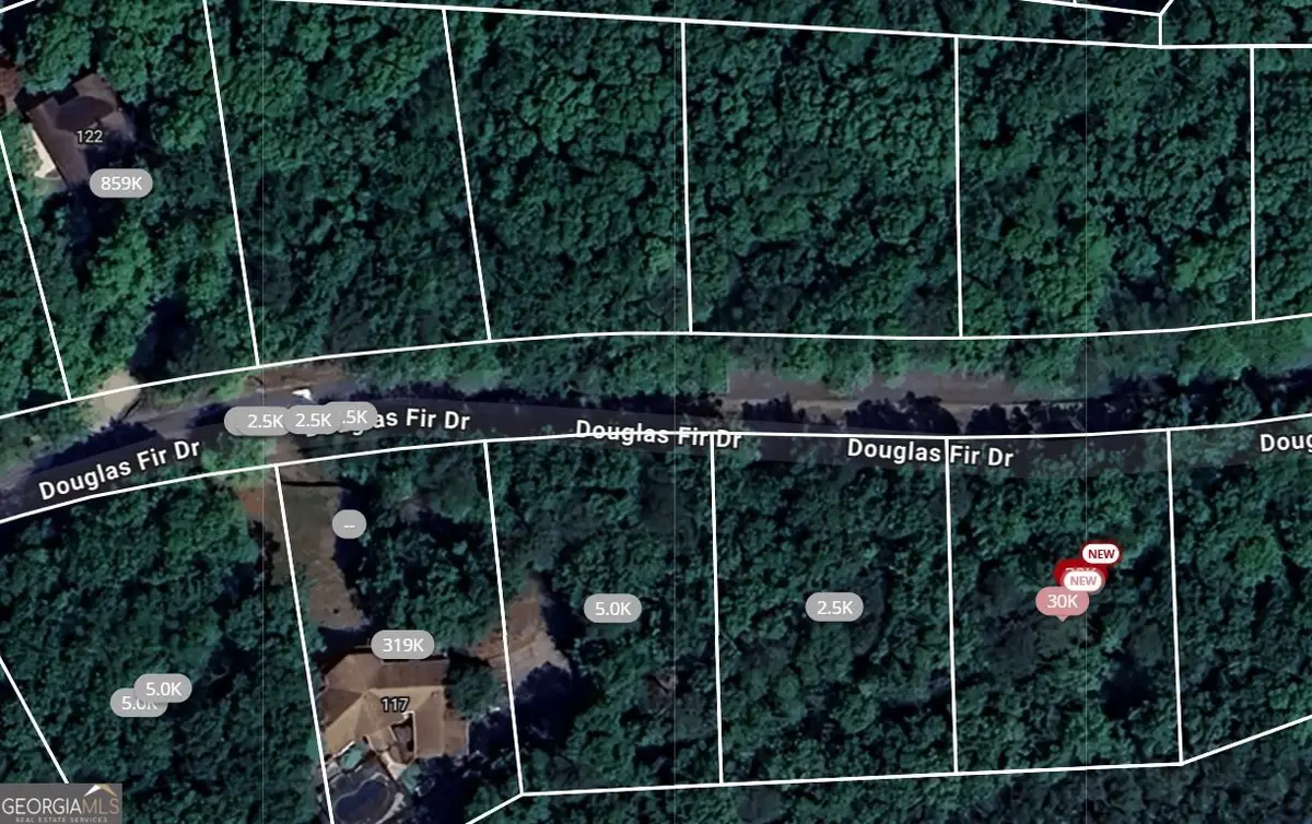 105 Douglas Fir Drive, Waleska, GA 30183 - Image #1