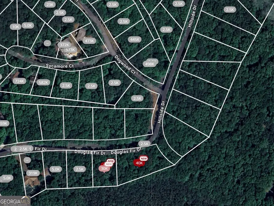 105 Douglas Fir Drive, Waleska, GA 30183 - Image #2