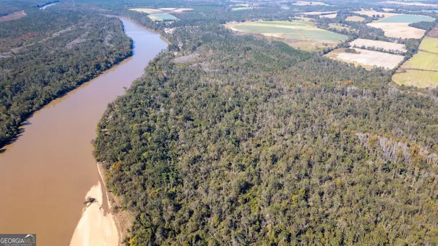 0 Grays Landing Road, Uvalda, GA 30473 - Image #3