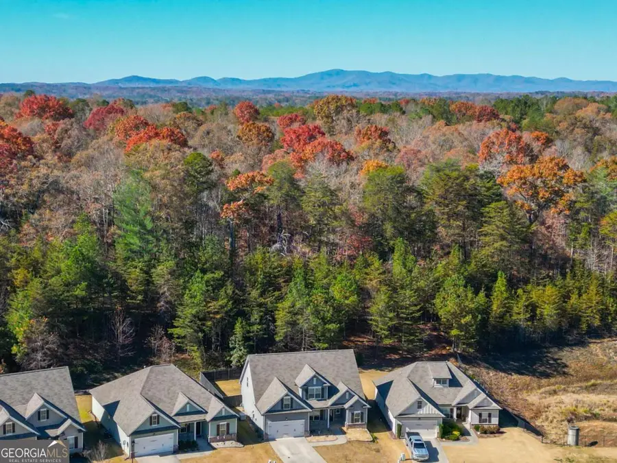 312 Flowing Trail, Dawsonville, GA 30534 - Image #2