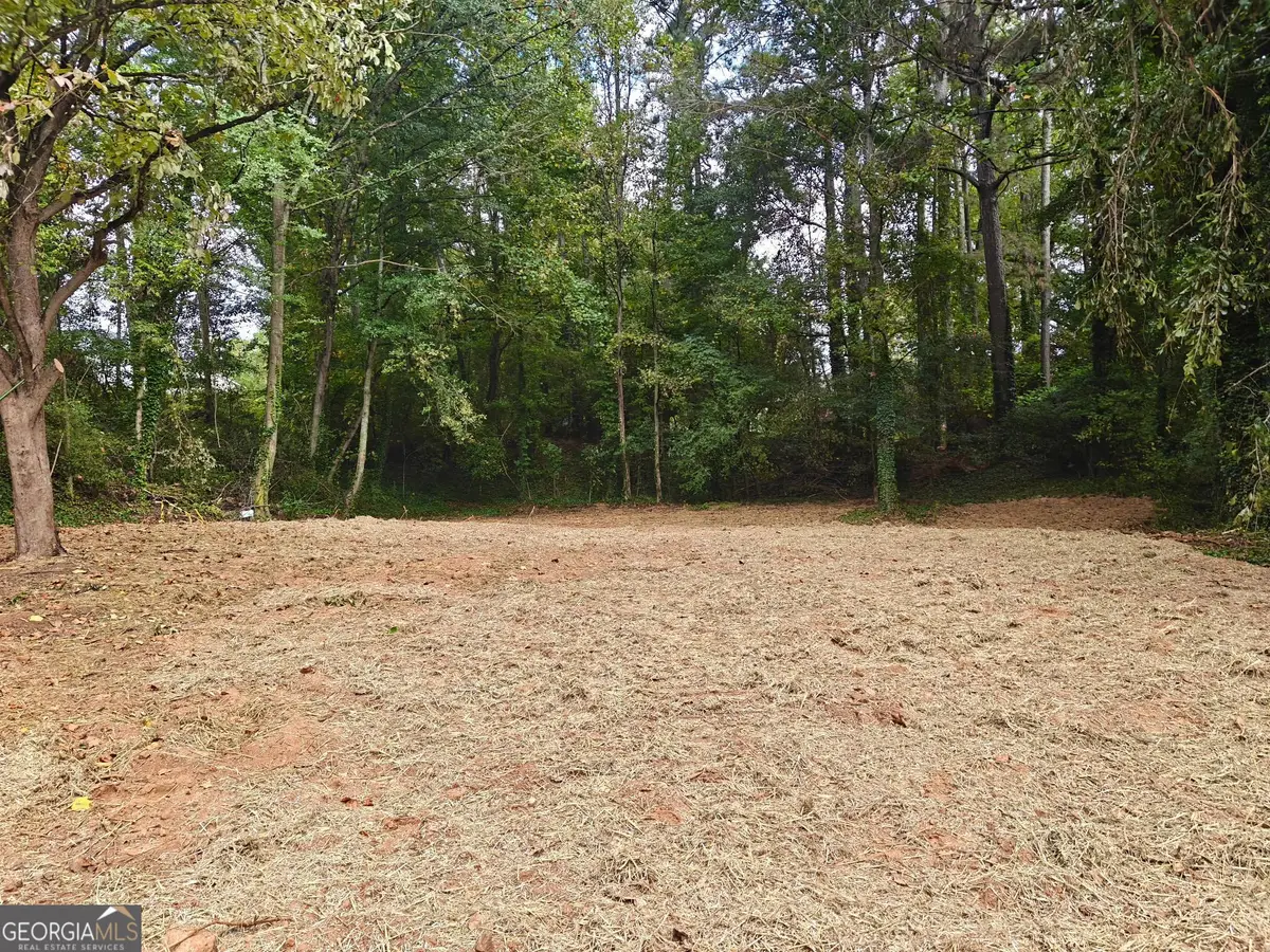 4043 Mckinley Drive, Snellville, GA 30039 - Image #1