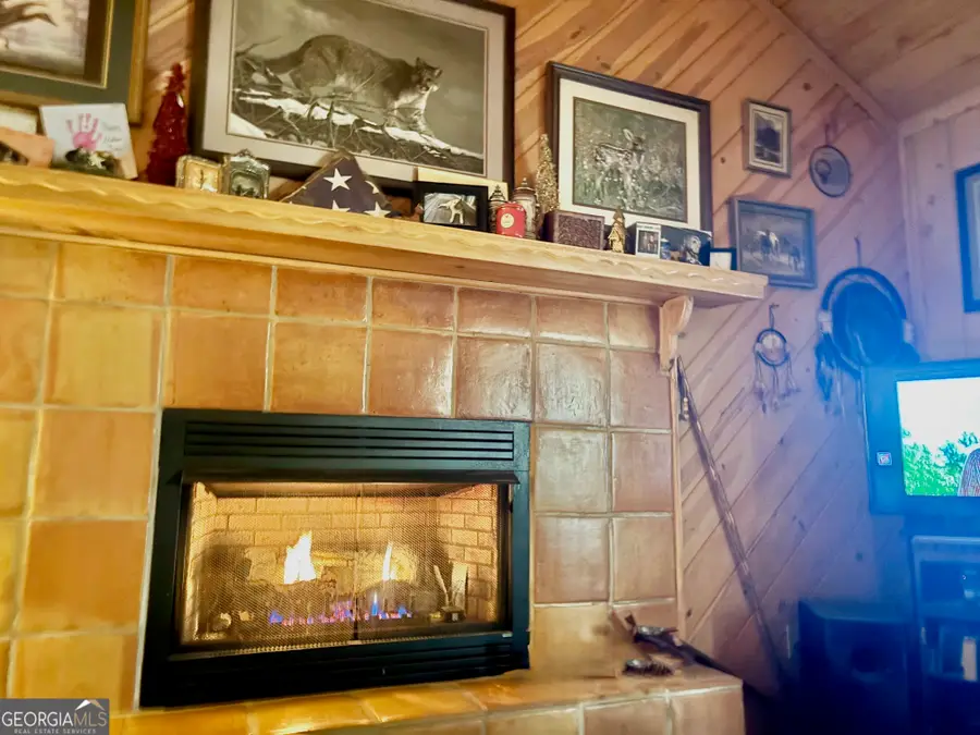 156 Peter Knob Road, Blue Ridge, GA 30513 - Image #3