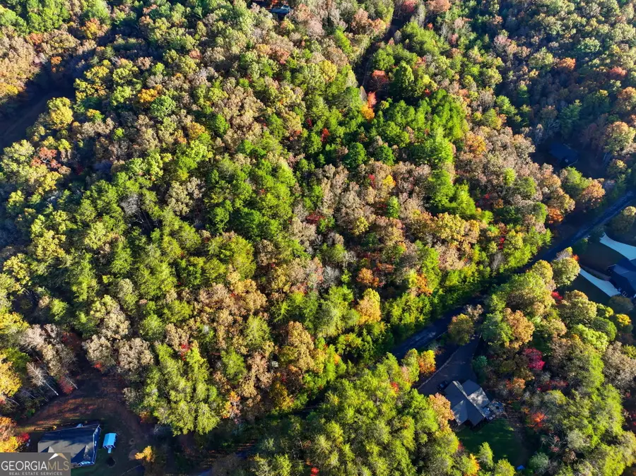 0 Autumn Ridge Drive Lot 10 & Lot 11 Drive, Mineral Bluff, GA 30559 - Image #3