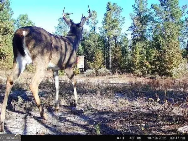 0 Indian Trail Road, Sandersville, GA 31082